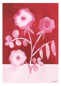 Plakát Pink Peas in Bloom by Anna Ravn Bjørn