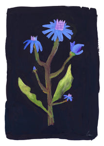 Plakát Night Flower by Clara Schicketanz