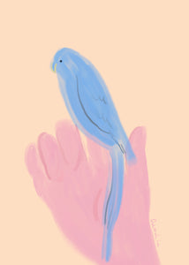 Plakát Parrot in Hand by Oamul