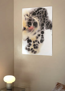 Plakát Snow Leopard by Rop van Mierlo 49x68 cm
