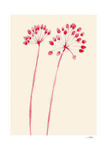 Plakát Flowers 02 by Ana Frois