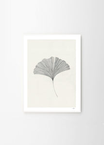 Plakát Ginkgo Leaf by Ana Frois