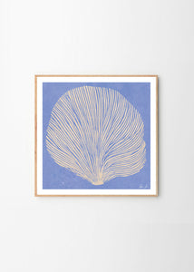 Plakát Sea Lavender by Rebecca Hein